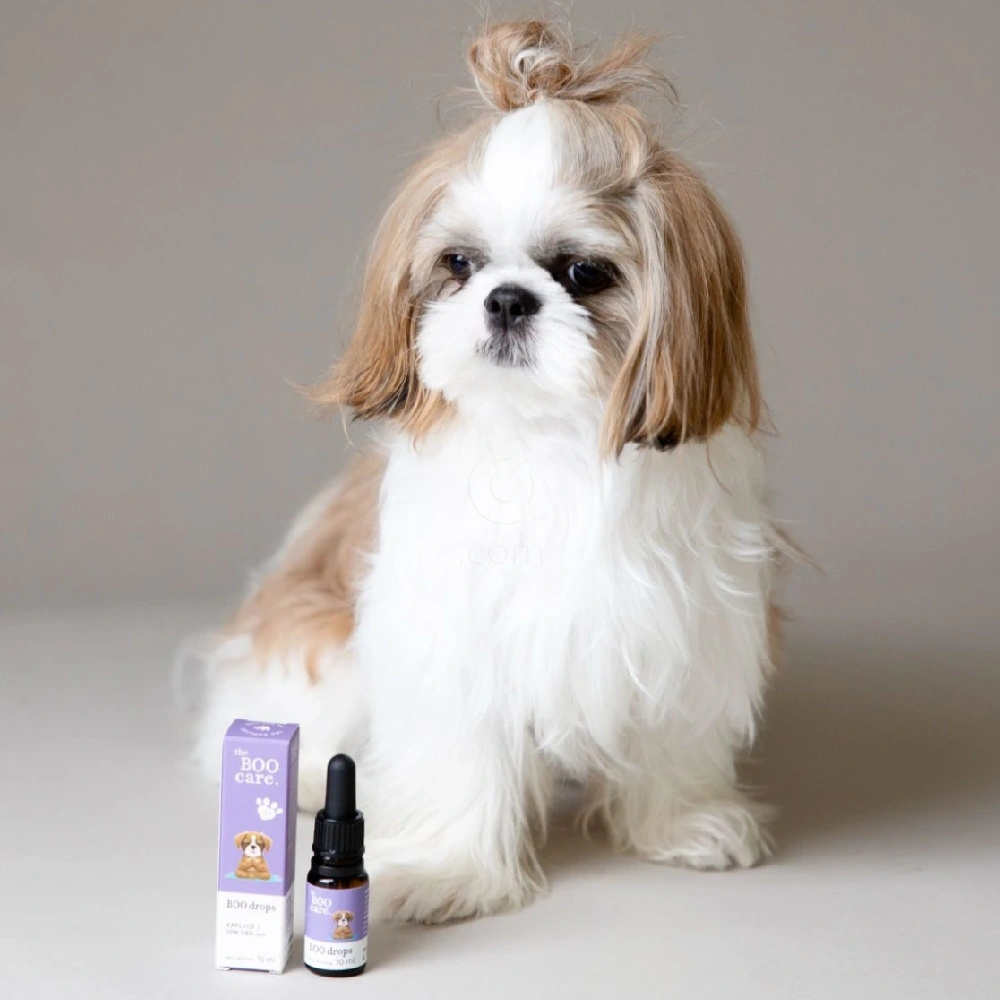 The Boo Care, 10% CBD kapljice za pomiritev (10 ml)